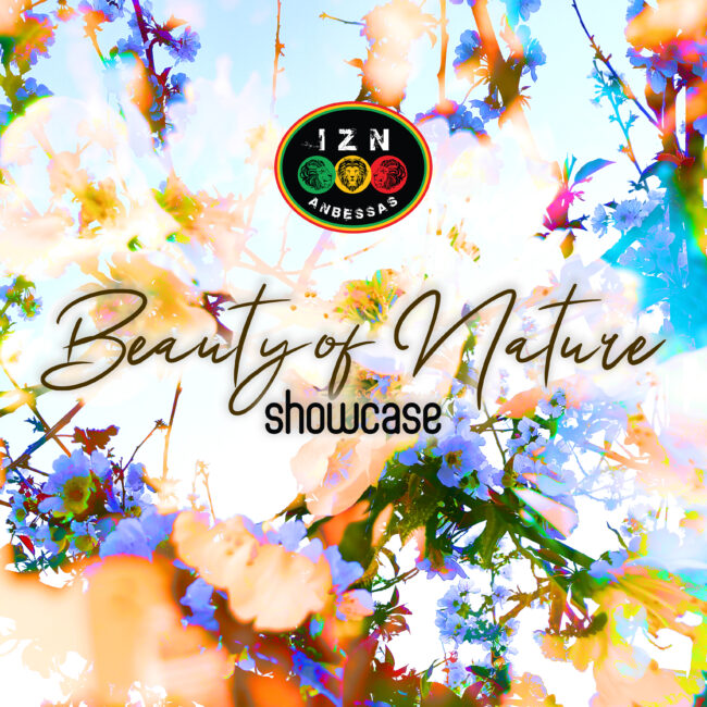 Beauty of nature showcase